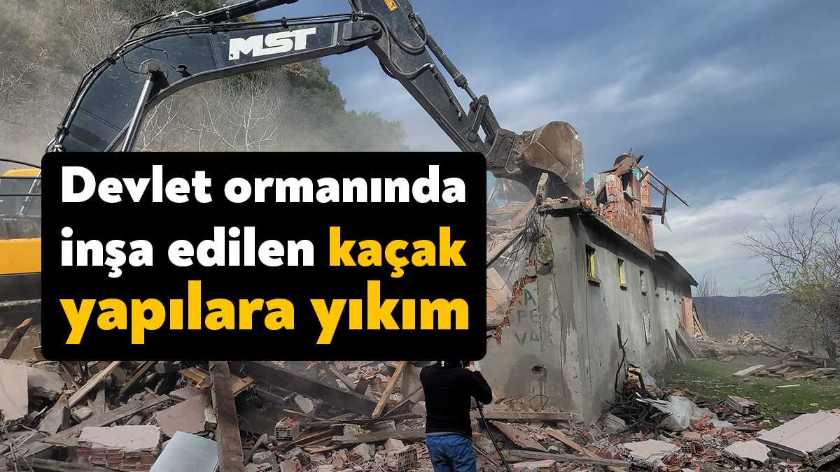 Kocaeli’nin Gölcük ilçesinde devlet ormanına ait sınırlarda yer alan kaçak