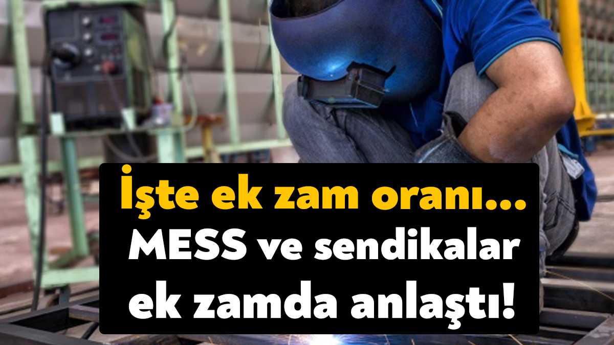 Metal Sanayicileri İşveren Sendikası (MESS) ile Türk Metal, Birleşik Metal-İş