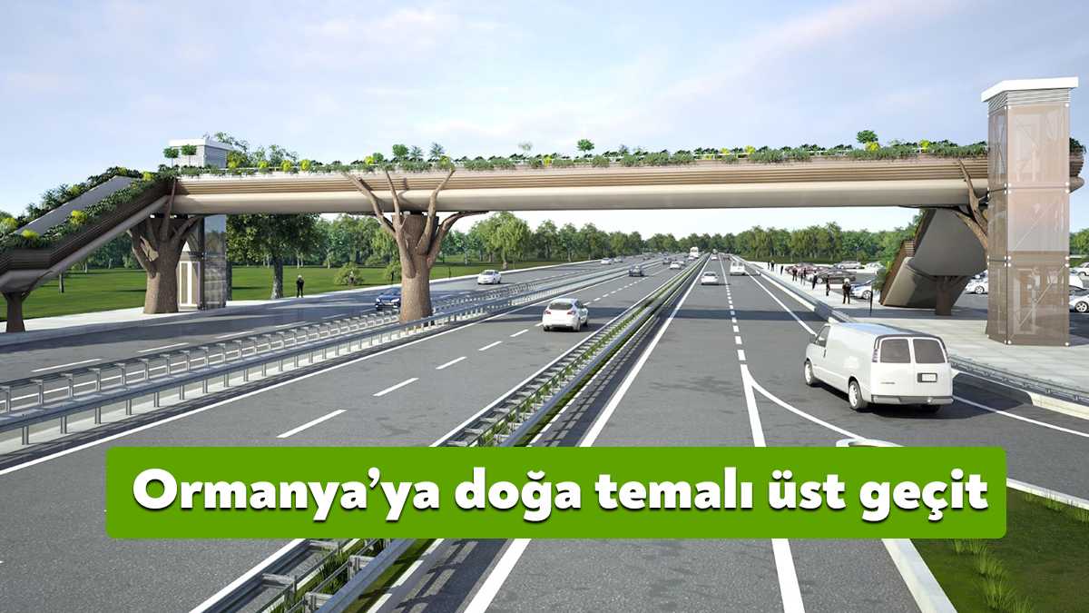 Ormanya’ya yayaların güvenli şekilde ulaşımını sağlayacak doğa temalı üstgeçitte ağaç