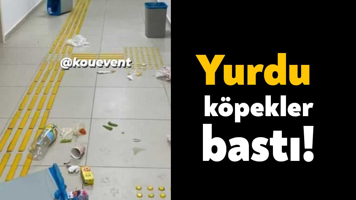 Samiha Ayverdi Kız Öğrenci Yurdu’na köpeklerin yurda girmesi nedeniyle öğrenciler