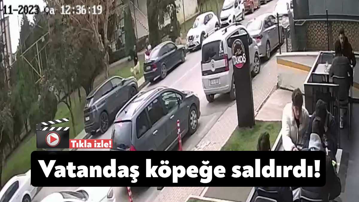 Kocaeli’nin İzmit ilçesinde yaşlı bir kadın korktuğu gerekçesiyle eline aldığı