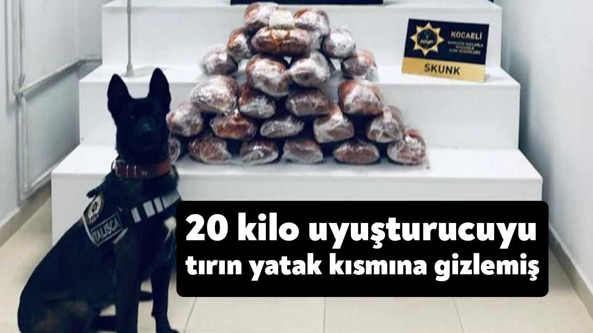 Kocaeli'de polis ekipleri tarafından TEM Otoyolu’nda durdurulan bir tırın şoför