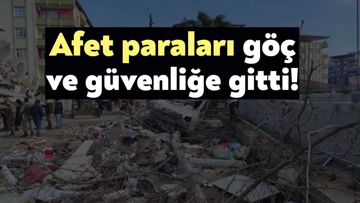 Art arda yaşanan orman yangınları, seller ve depremlerle bir afet