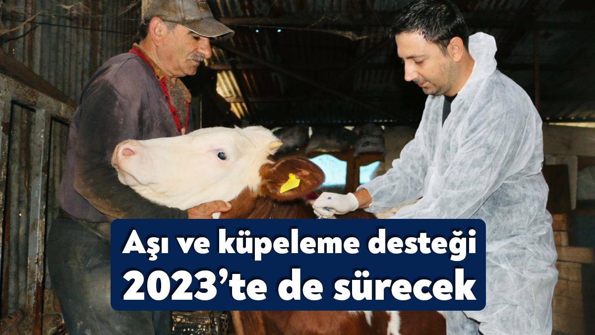 Körfez Belediye Başkanı Şener Söğüt, 2022 yılında ‘Üretim sizden, aşı