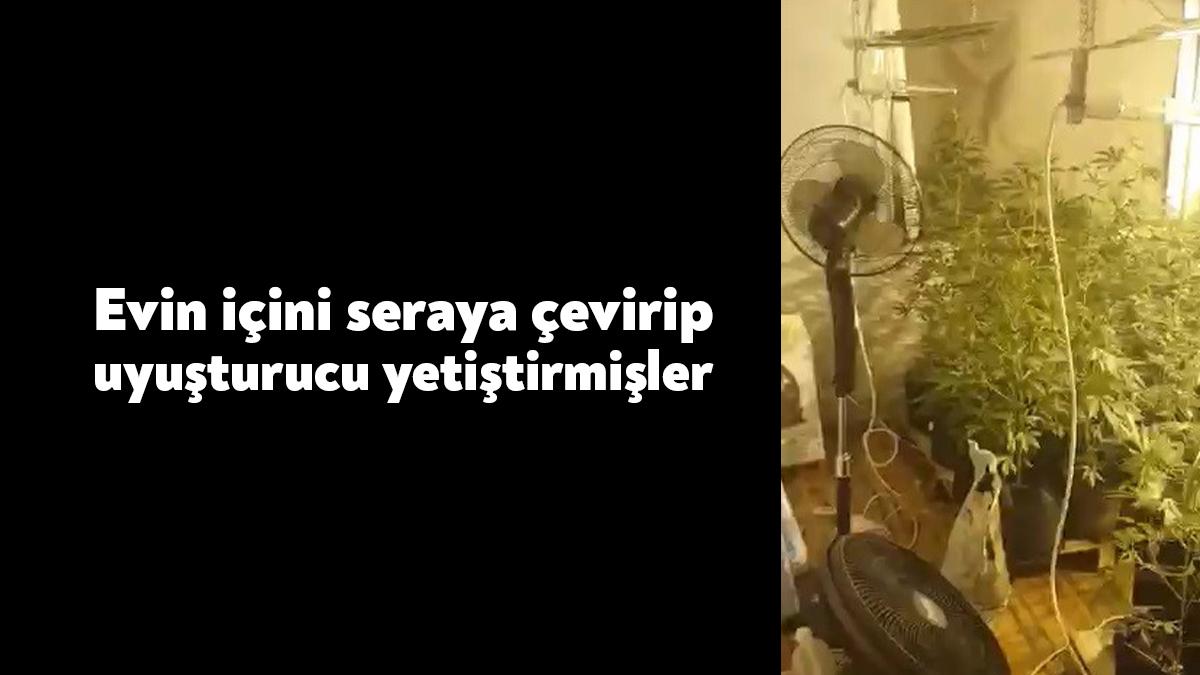Kocaeli’nin Gebze ilçesinde evin içerisinde kurulan serada uyuşturucu yetiştiren 4