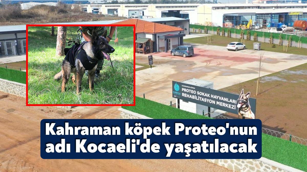 Kahramanmaraş merkezli depremlerin ardından Meksika'dan gelen arama kurtarma ekibinde görev