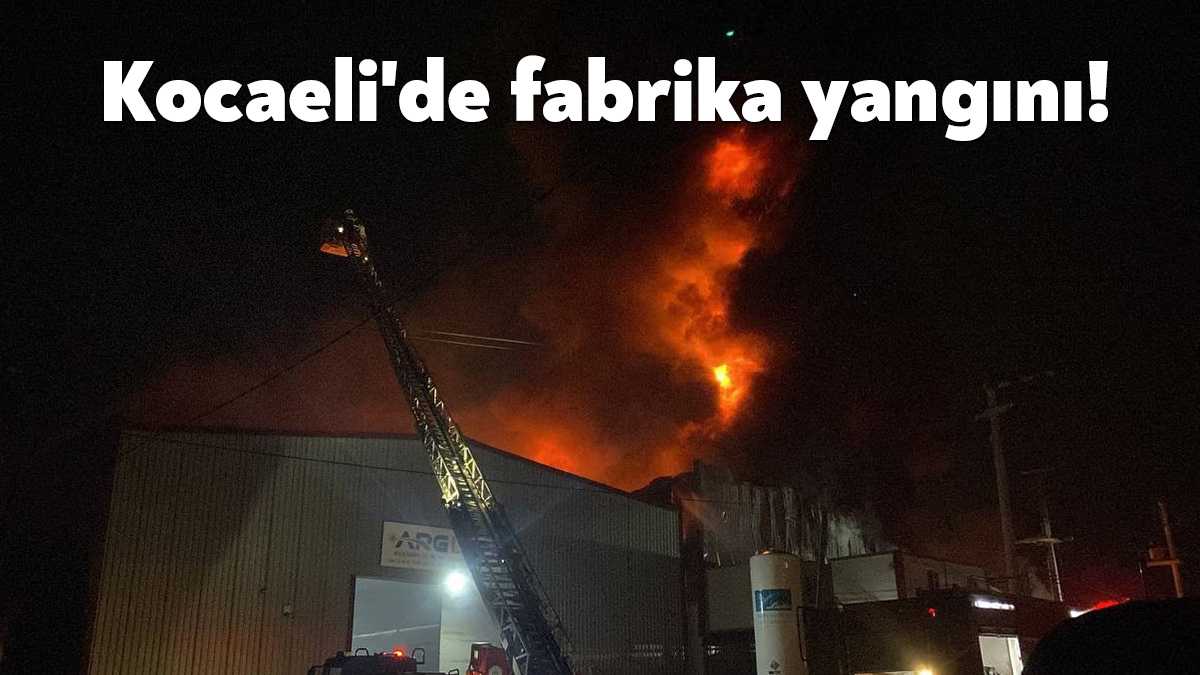 Kocaeli'nin Gebze ilçesinde bir fabrikada yangın çıktı. Yangına çevre ilçelerden