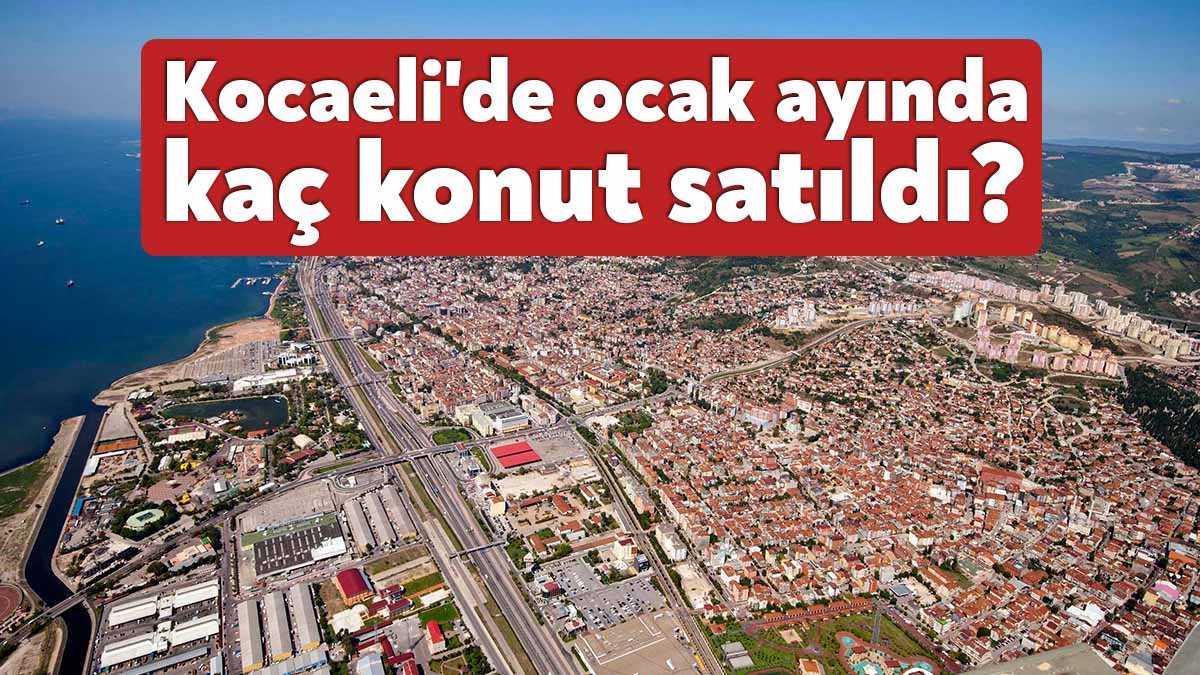 Türkiye İstatistik Kurumu tarafından açıklanan verilerine göre; 2023 yılı Ocak