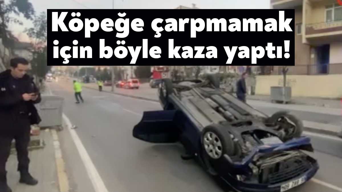 Kocaeli’nin Derince ilçesinde seyir halindeyken önüne köpek çıkan sürücü, köpeğe