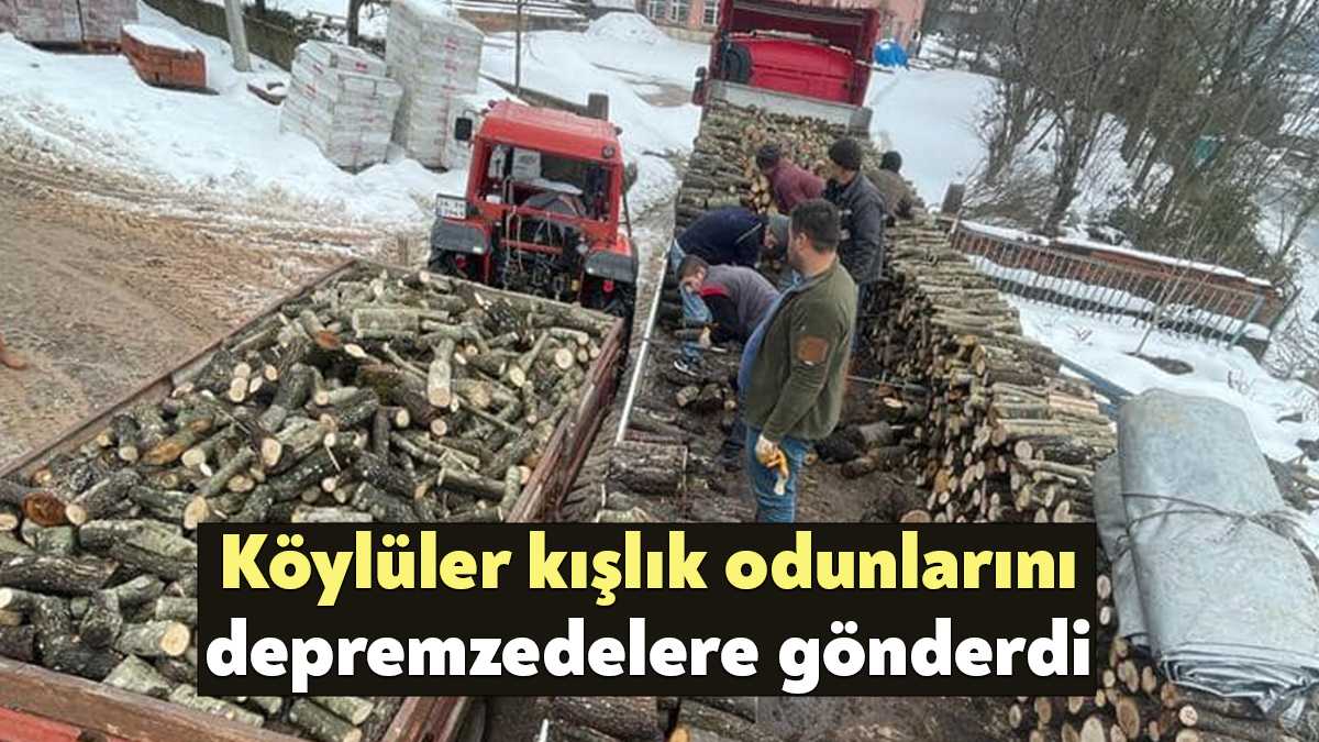Körfez'de bulunan Alihocalar köyünde yaşayan vatandaşlar, kışlık odunlarını afet bölgesindeki