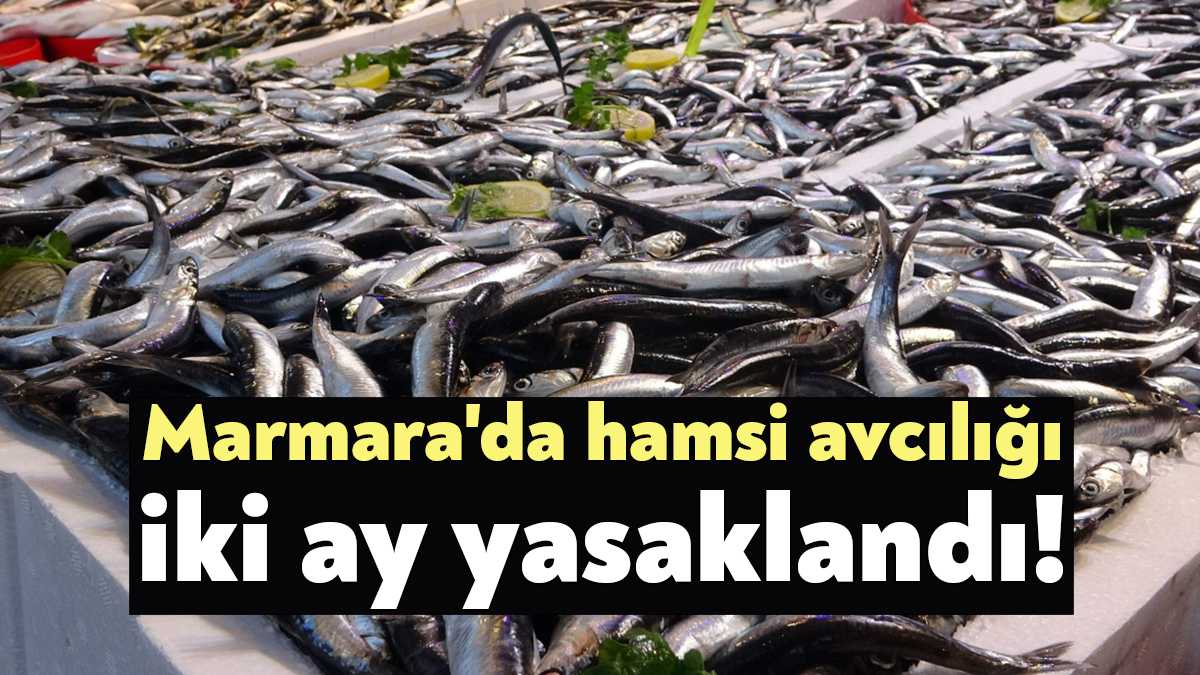 Tarım ve Orman Bakanlığı, Balıkçılık ve Su Ürünleri Genel Müdürlüğü,