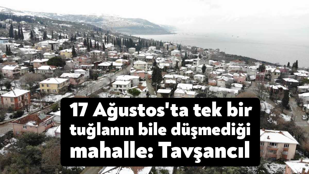 Kahramanmaraş merkezli meydana gelen ve 10 ili etkileyerek büyük kayıplara