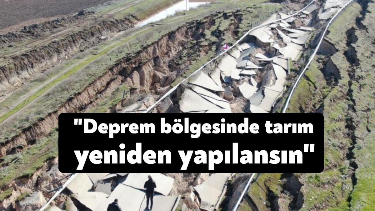Kahramanmaraş merkezli depremler, 11 ilde tarım ve hayvancılığı da olumsuz