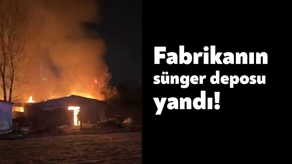 Kocaeli’de bir mobilya fabrikasının sünger deposu alevlere teslim oldu. Ekiplerin