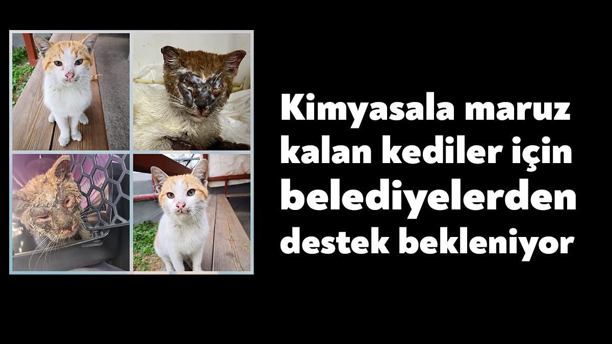 Körfez İlçesi Kirazlıyalı Mahallesi’nde bulunan bir fabrikadaki asit ve kostik