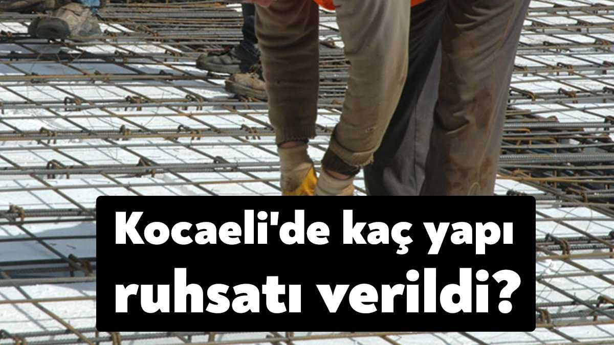 Türkiye İstatistik Kurumu, 2022 yılında ülke genelinde verilen yapı ruhsatlarını