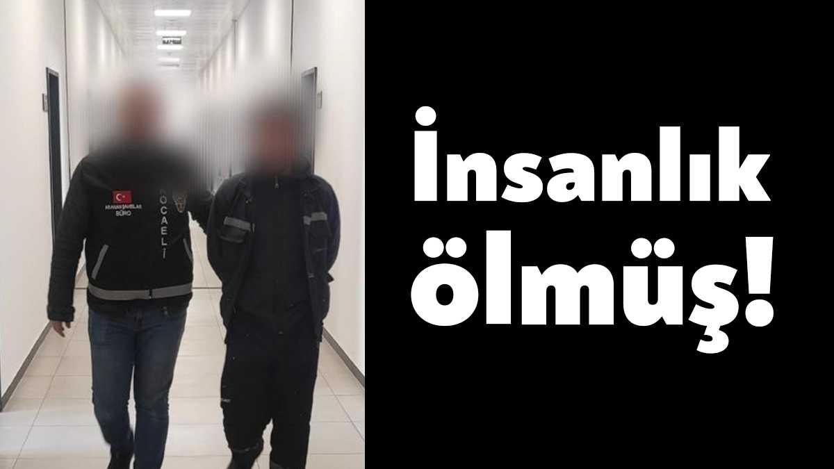Depremzede vatandaşlara konteyner satın almak isteyen vatandaşları dolandıran şahıs sevk