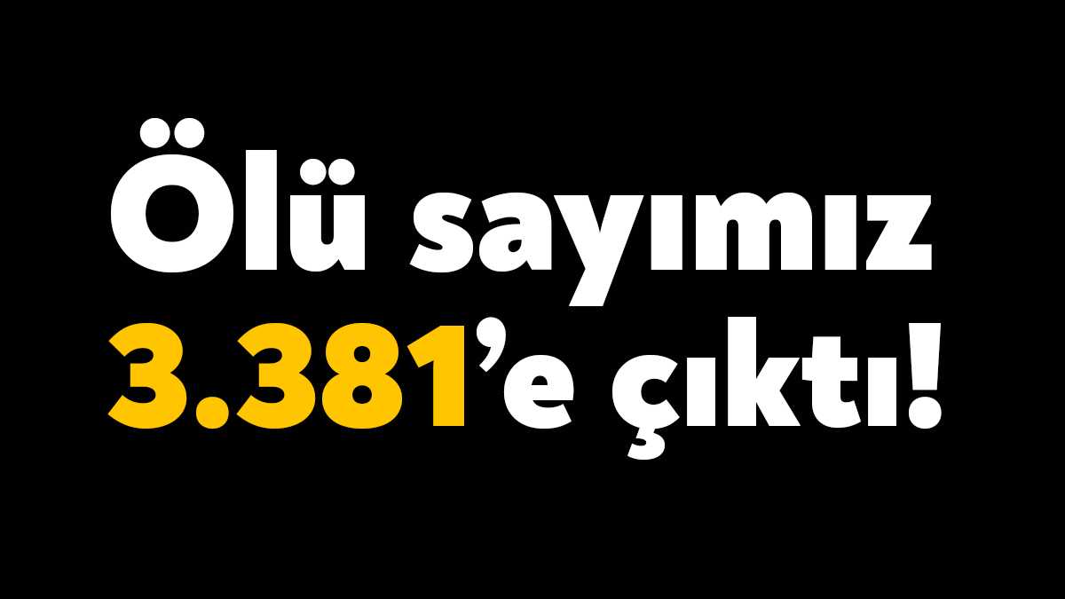 AFAD tarafından yapılan açıklamada şimdiye kadar 3 bin 381 vatandaşın