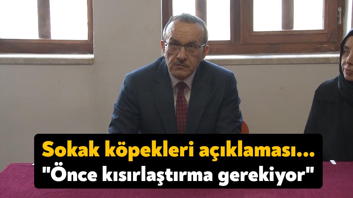 Kocaeli Valisi Seddar Yavuz, sokak hayvanlarını korumaya çalıştıklarını belirterek "Köpekler