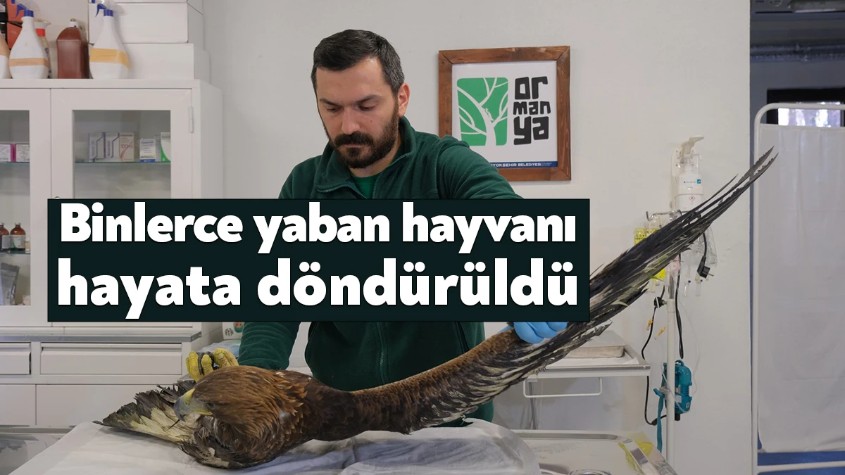 Ormanya Yaban Hayatı Kurtarma ve Rehabilitasyon Merkezi 2022 yılı içinde