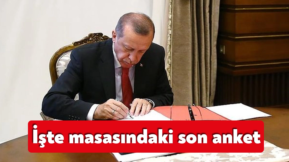 Ak Parti Genel Başkan Yardımcısı Mustafa Şen, CNN Türk'te Ahmet