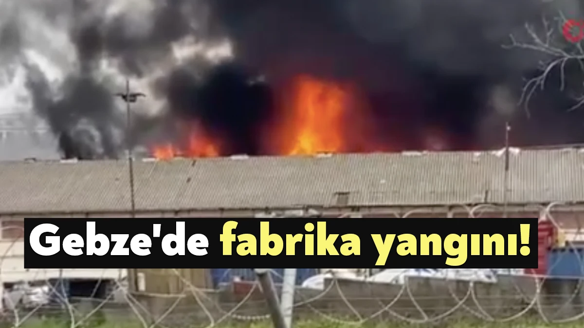 Kocaeli Gebze'de eski Ali Baba Çiftliği'nin bulunduğu binadaki üretim tesisinde