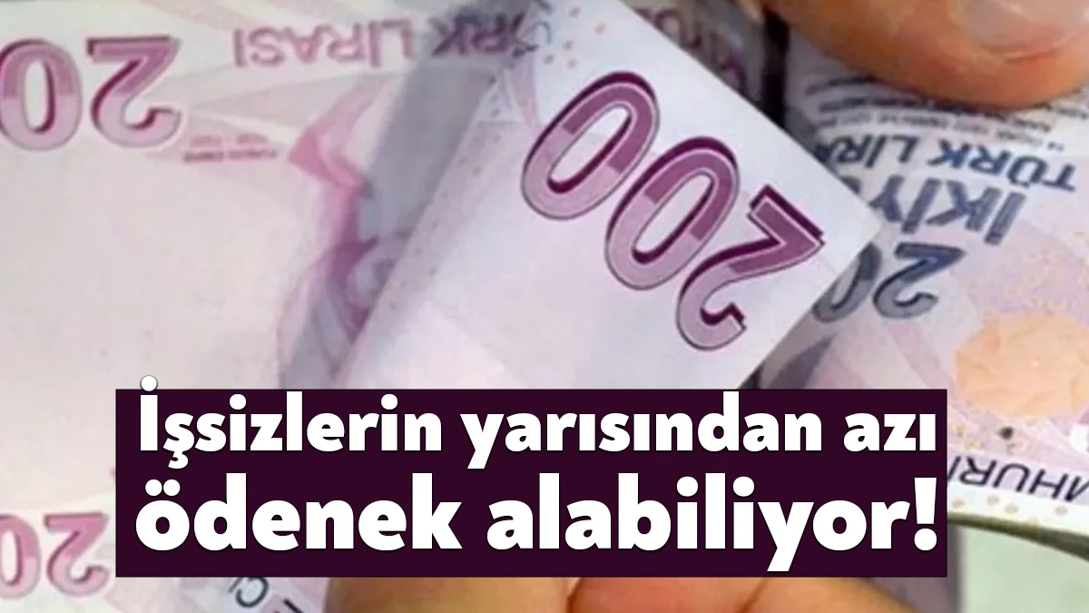 İŞKUR’un işsizlik ödeneği verileri, işsizliğin ulaştığı boyuta ayna tuttu. 2012