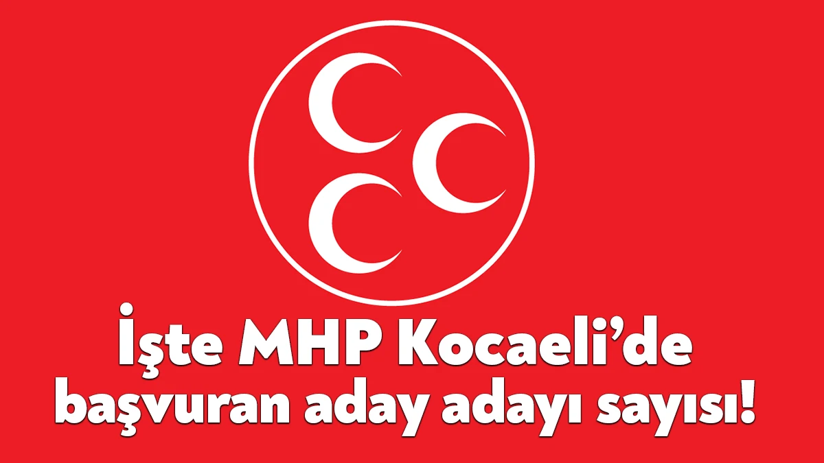 Milliyetçi Hareket Partisi (MHP) 28. Dönem Milletvekili Genel Seçimleri için