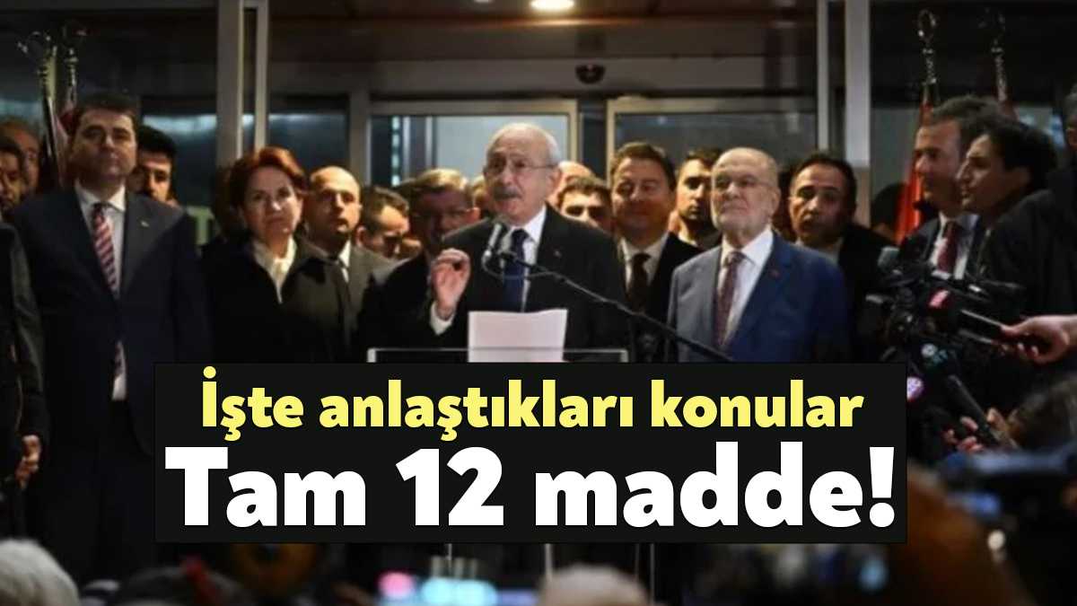 Kemal Kılıçdaroğlu'nu Cumhurbaşkanı olarak ilan eden Millet İttifakı temsilcilerinin Millet