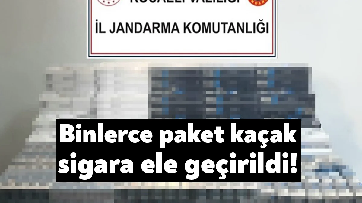 Kocaeli'de bir araçta jandarma ekipleri tarafından yapılan aramada bin