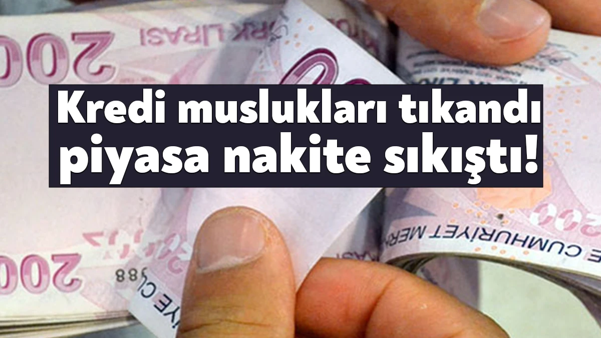 Nakit darboğazından geçen reel sektör, krediye erişimde zorlanmaktan dertli. İş