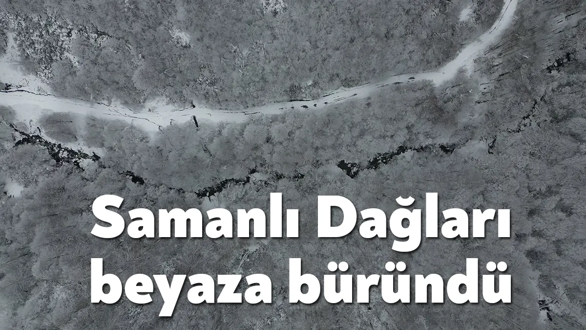 Kocaeli’de gece saatlerinde etkili olan kar yağışı, Kartepe’yi beyaza bürüdü.