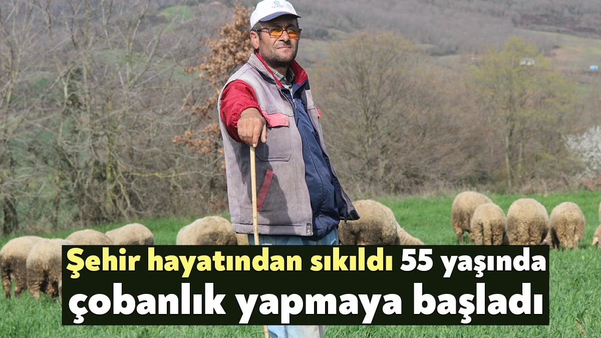 Kocaeli'nin İzmit ilçesinde şehir hayatını bırakarak köyde çobanlık yapmaya başlayan