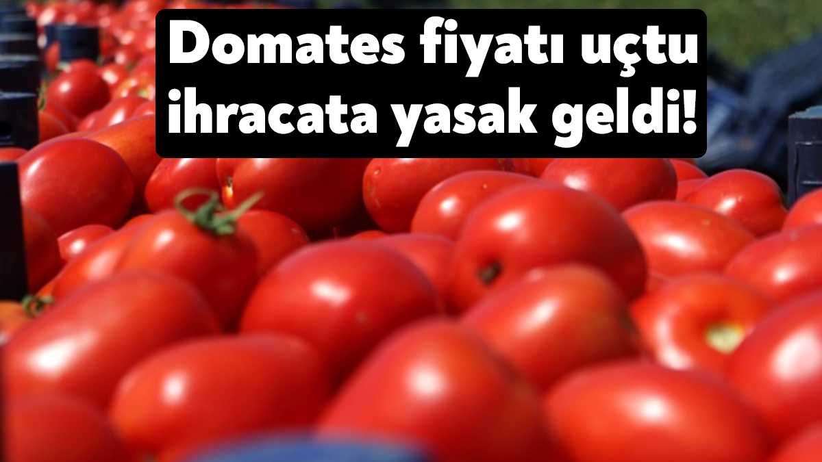 Olağanüstü fiyat artışları ve deprem sonrası gıda güvenliğinin sağlanması amacıyla
