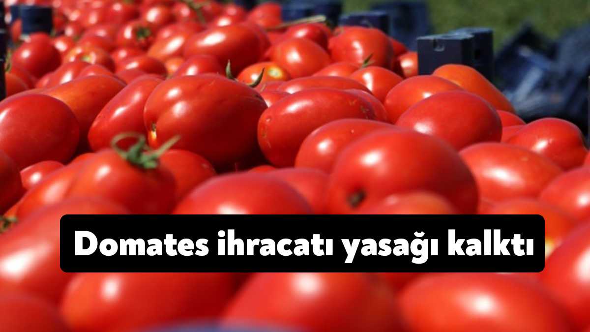 Tarım ve Orman Bakanlığı'nın domates ihracatına kısıtlama getirilmesine ilişkin kararın