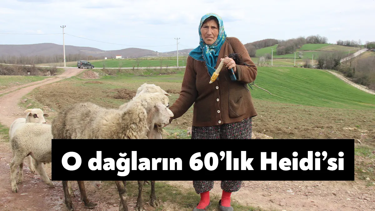 Kocaeli'nin İzmit ilçesinde yaşayan ve 55 yıldır çobanlık yapan 60