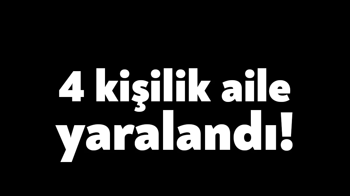 Kocaeli’de seyir halindeki otomobil yol kenarındaki beton elektrik direğine çarptı.