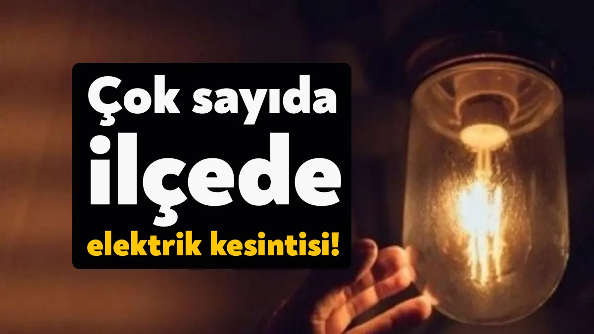 Sakarya Elektrik Dağıtım Anonim Şirketi (SEDAŞ), bakım ve onarım çalışmaları