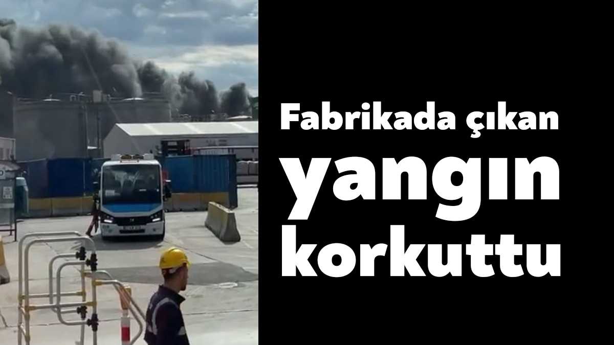 Kocaeli'nin Körfez ilçesinde bir fabrikada çıkan yangın itfaiye ekipleri tarafından