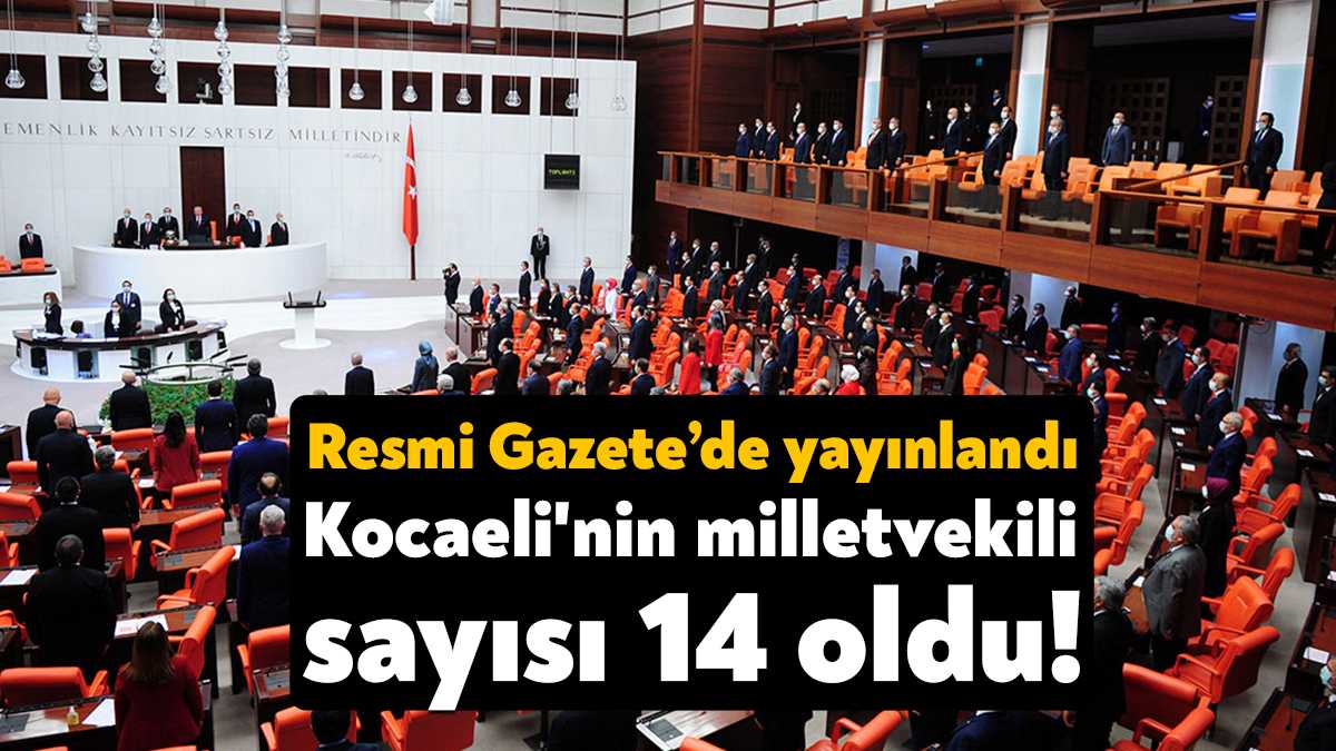 Resmi Gazete'de yayımlanan YSK kararına göre Kocaeli ve Sakarya'nın milletvekili