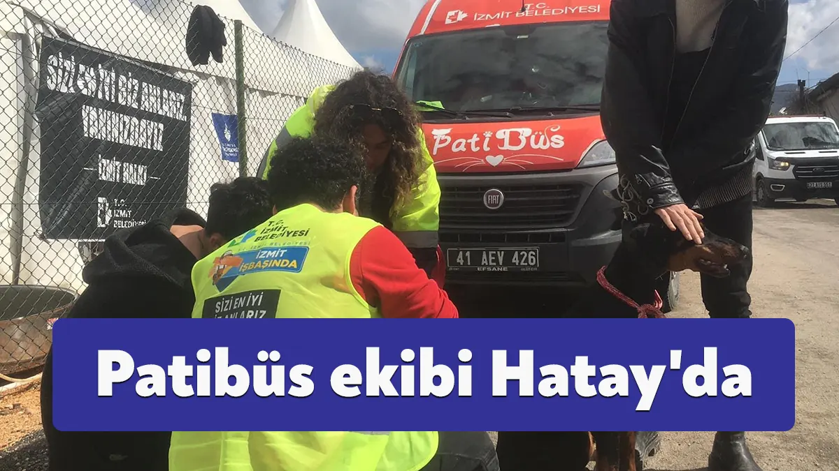 İzmit Belediyesi'nin gezici muayene aracı Patibüs ekibi, Hatay’da hayvanları muayene
