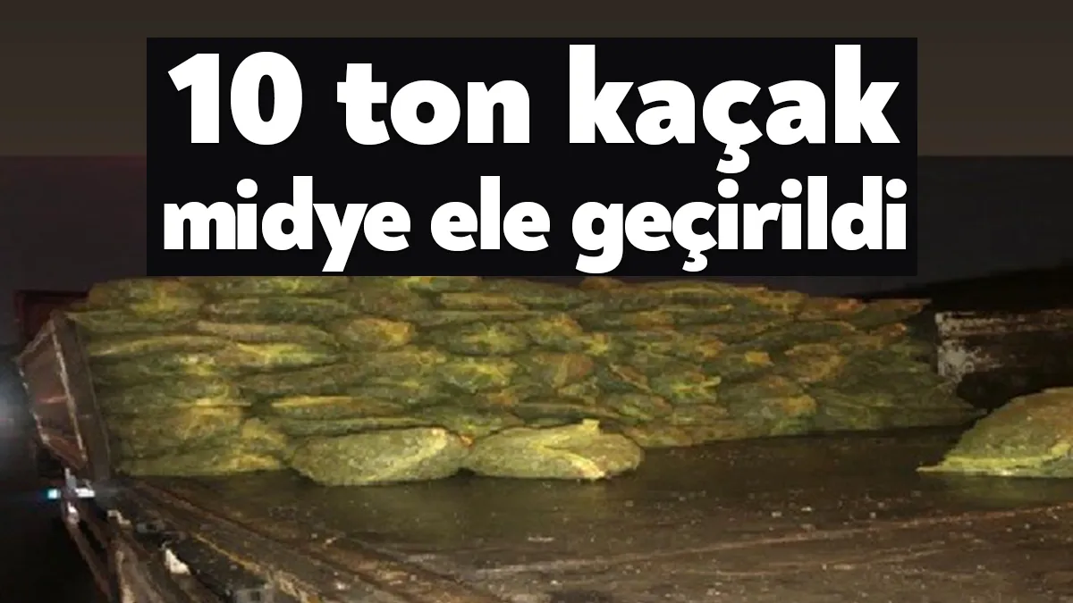 Kocaeli’nin Gebze ilçesinde bir tırda yapılan aramada 10 ton kaçak