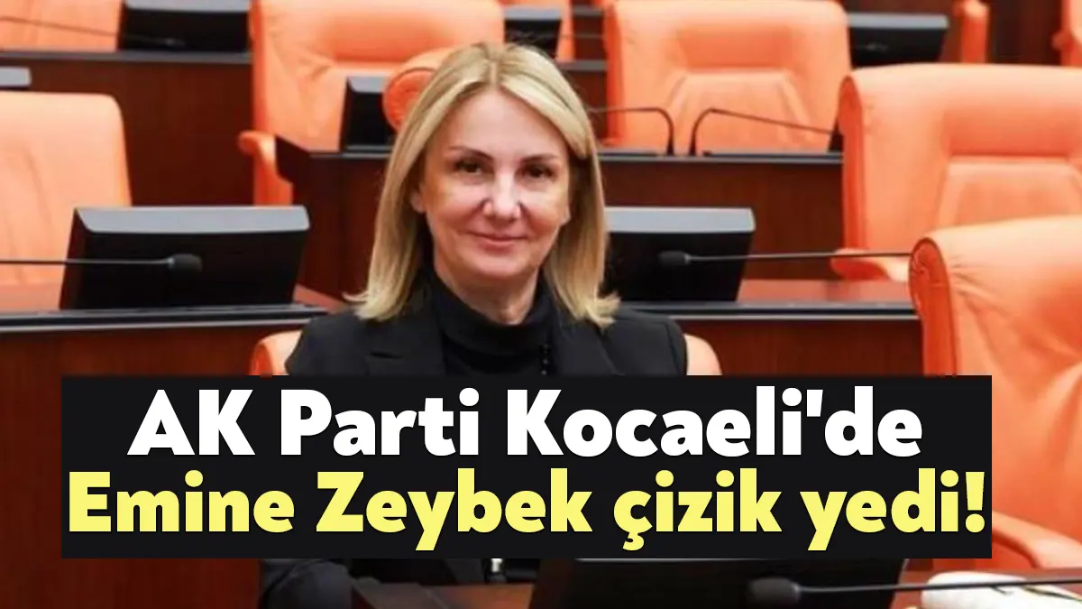 AK Parti Kocaeli Milletvekili Emine Zeybek'e 28. Dönem Milletvekili seçimi