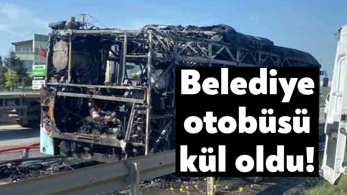 Kocaeli'de belediyeye ait yolcu otobüsü seyir halindeyken alevlere teslim oldu.