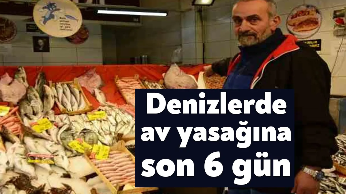 Kocaeli'de balıkçılar, yasak başladıktan sonra tezgahlarda yine balık satılacağını söyledi.