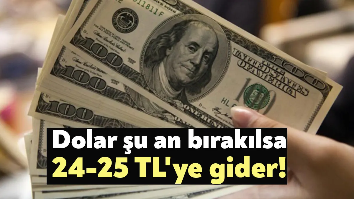 Ekonomist Prof. Dr. Özgür Demirtaş'tan dikkat çeken dolar yorumu geldi.