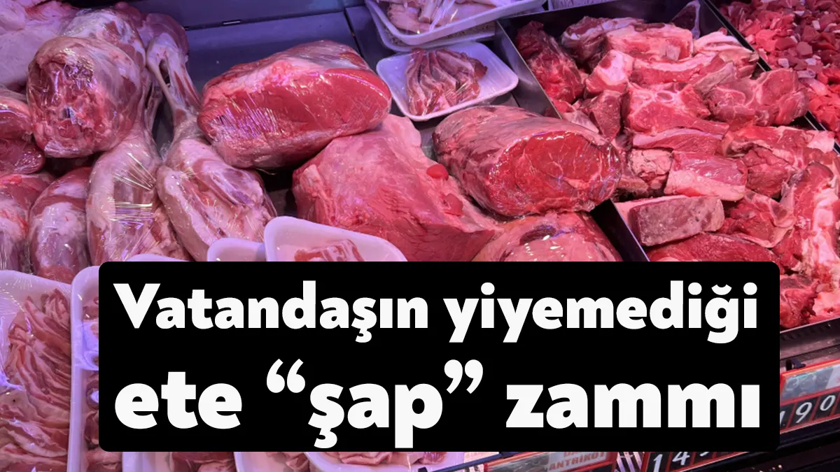 Türkiye Veteriner Hekimler Birliği'nden korkutan uyarı... Aşılara dirençli yeni tür