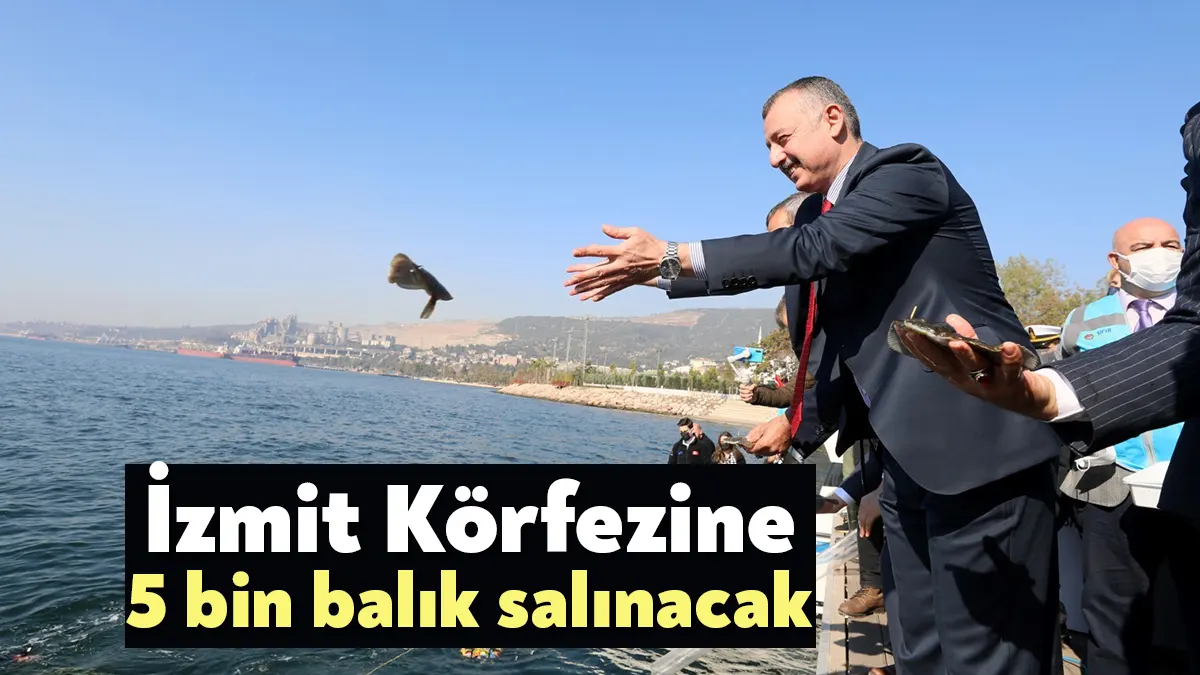 İzmit Körfezi Balıklandırma Projesi’nde 28 Nisan Cuma günü 5 bin