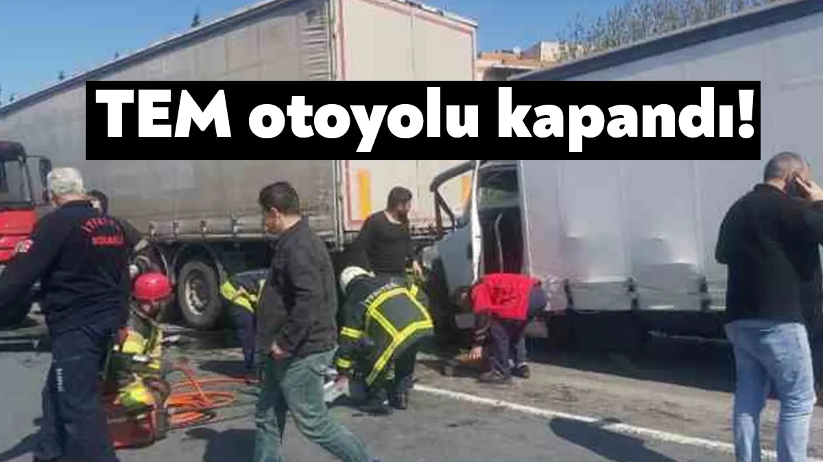 TEM otoyolu Dilovası geçişinde tekerleği çıktığı için yol kenarında duran