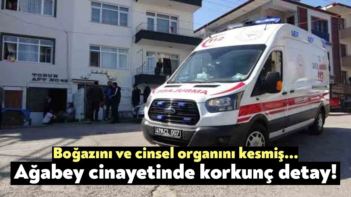 Kocaeli'de kardeş cinayetinde kan donduran detaylar ortaya çıktı. Abisini uykusunda